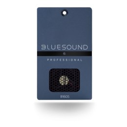 BLUESOUND PROFESSIONAL WZMACNIACZ SIECIOWY B160S - WZMACNIACZ STEREO Z SIECIOWYM ODTWARZACZEM MUZYCZNYM