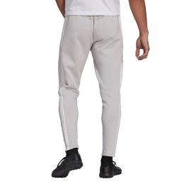 Spodnie męskie Adidas pants jasnoszare GT6644