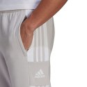 Spodnie męskie Adidas pants jasnoszare GT6644