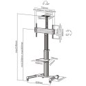 TECHLY MOBILNY STOJAK TV LED/LCD 37-70 CALI 50KG Z