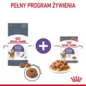 ROYAL CANIN FCN Appetite Control w sosie - mokra karma dla kota dorosłego - 12x85g