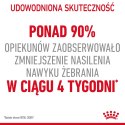 ROYAL CANIN FCN Appetite Control w sosie - mokra karma dla kota dorosłego - 12x85g