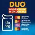 FELIX Fantastic Duo wiejskie smaki - mokra karma dla kota - 12x85g