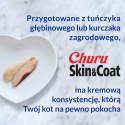 INABA Churu Skin&Coat Kurczak - przysmak dla kota - 4x14 g