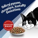 Purina FELIX Countryside Sensations Wołowina 1kg