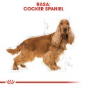 ROYAL CANIN BHN Cocker Adult - sucha karma dla psa dorosłego - 12 kg