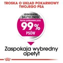 ROYAL CANIN Mini Exigent - sucha karma dla psów wybrednych - 1 kg