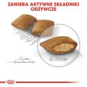 ROYAL CANIN Mini Exigent - sucha karma dla psów wybrednych - 1 kg