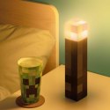 PP MINECRAFT TORCH LIGHT