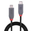 Lindy 36958 kabel USB USB4 Gen 3x2 2 m USB C Czarny