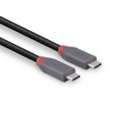 Lindy 36958 kabel USB USB4 Gen 3x2 2 m USB C Czarny