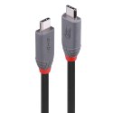 Lindy 36958 kabel USB USB4 Gen 3x2 2 m USB C Czarny